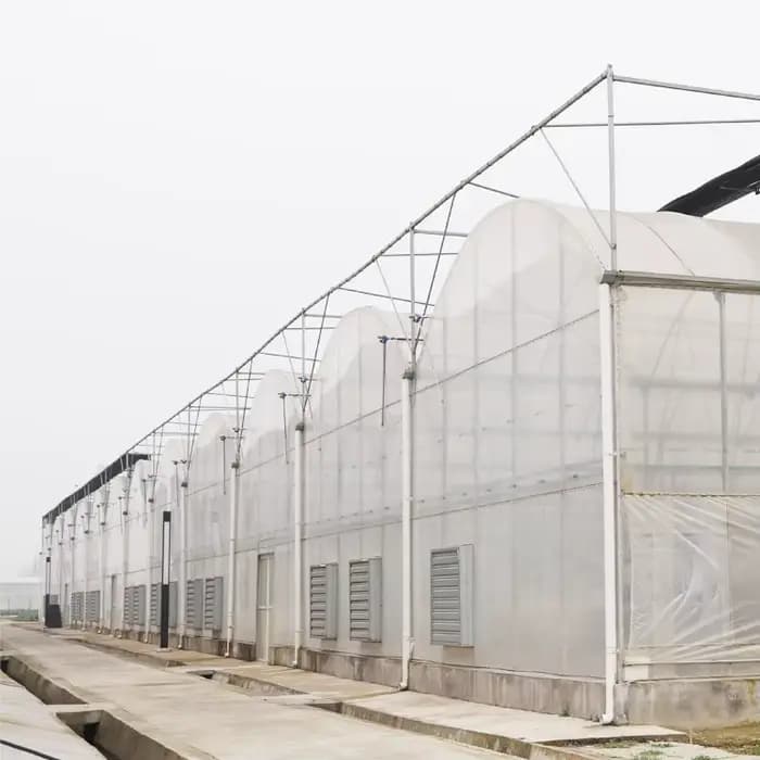 Kit de serre agricole commerciale GT Tomato, cadre en plastique, film plastique, serre multi-spans à