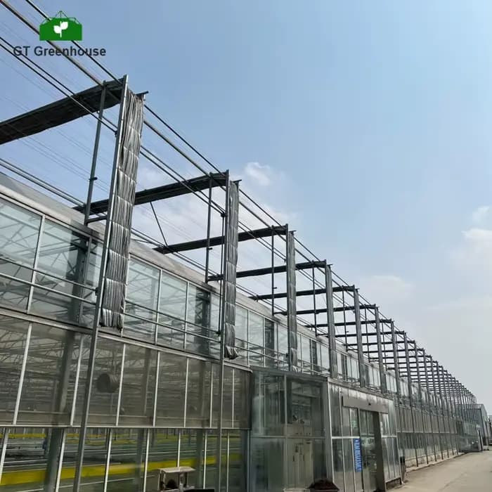 Panneaux solaires transparents en verre personnalisés pour serres, vente en gros en Chine, GT Agricu