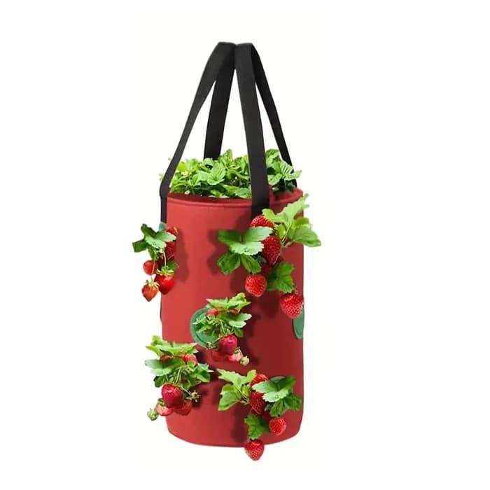 Sac de culture suspendu à 12 trous, jardinière en feutre Non tissé pour fraises et tomates, jardin V