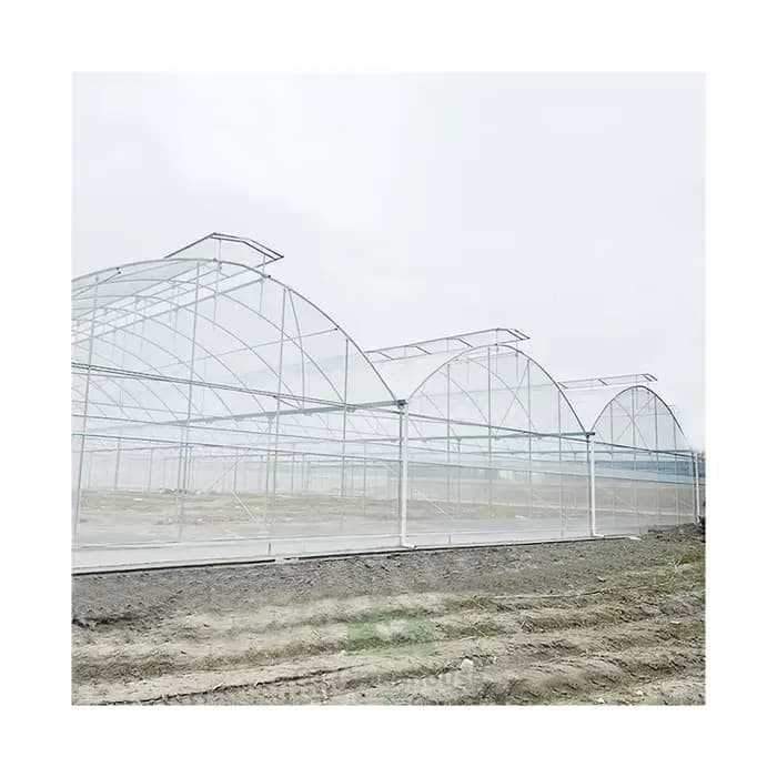 Serre en plastique multi-voûtes de grande taille pour l'agriculture commerciale, cadre en métal, ser