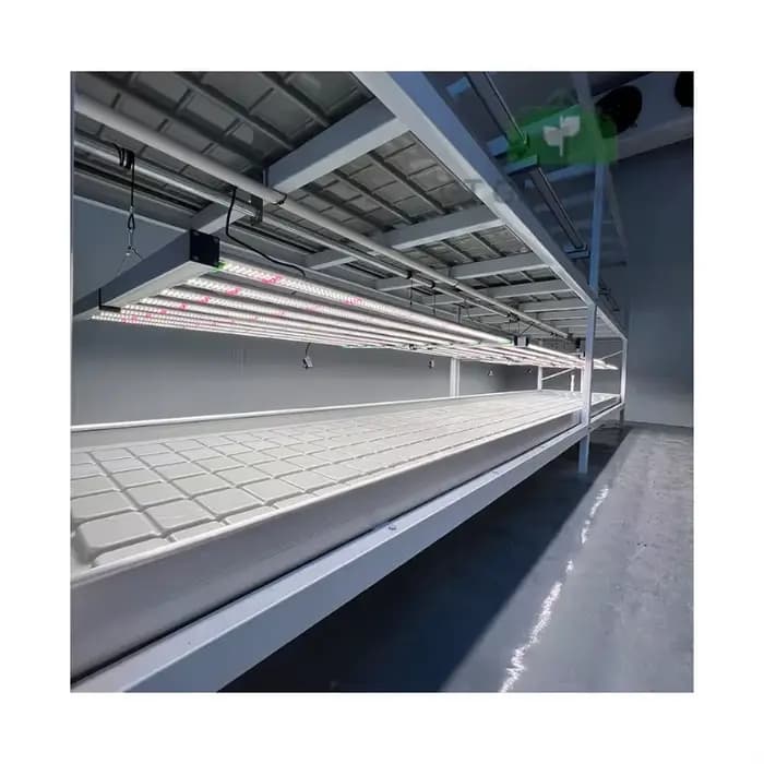 Vente flash Serre hydroponique Bancs roulants à flux et reflux avec éclairage LED pour la culture