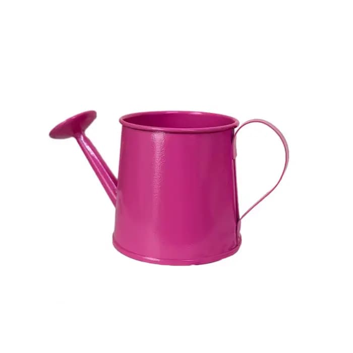 Mini arrosoir en métal vintage avec long bec, petit arrosoir pour plantes d'intérieur, décoration de