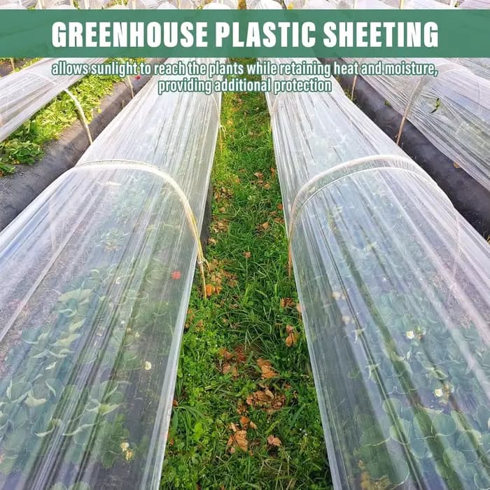 Feuille de plastique transparente pour serre, 1 pièce, Film plastique Transparent pour serre, Film e
