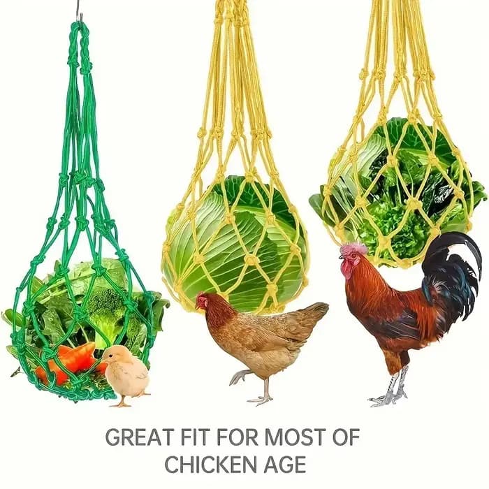 Filet à Légumes Jetable pour Volaille, Support de Fruits, Mangeoire à Choux, Outil d'Alimentation po