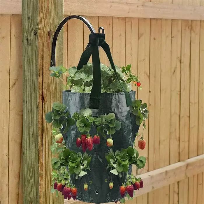 Sacs de culture suspendus pour fraises et tomates