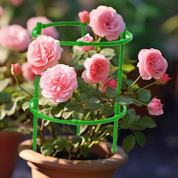 Cages verticales pour tomates