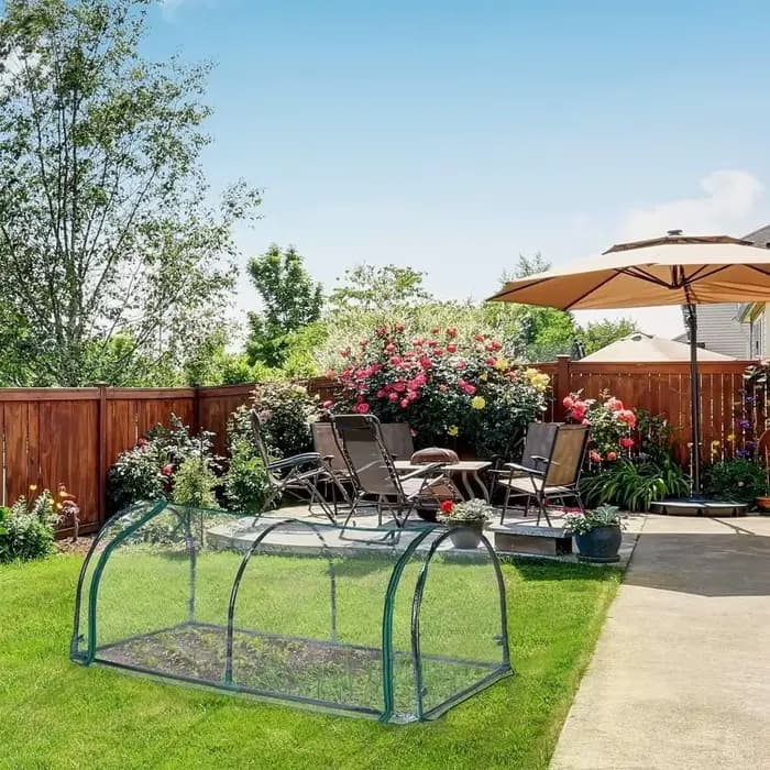 Mini-serre transparente pour plantes