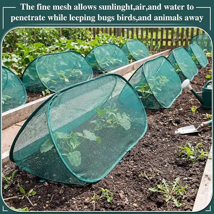 Couverture en filet pour plantes de jardin