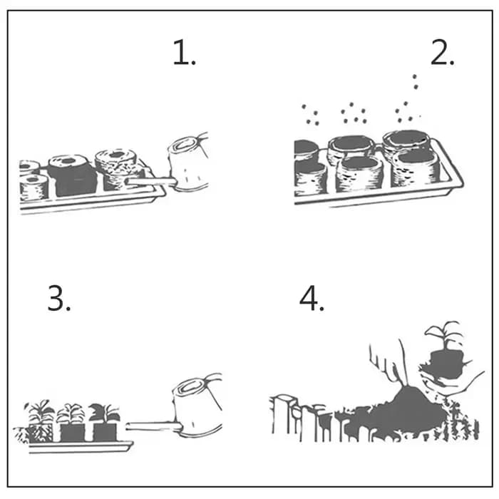 Plateau de semis 6/12 alvéoles avec mini-serre et trous de ventilation