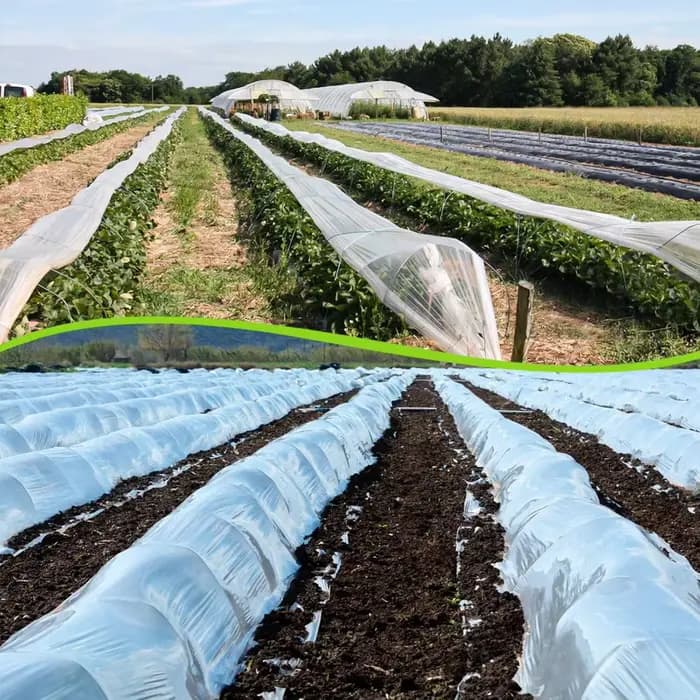 Film plastique transparent pour serre 2x10m