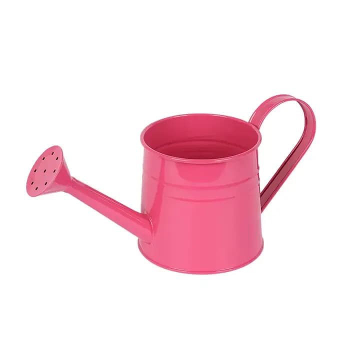 Nouvelle arrosoir en métal pour jardin