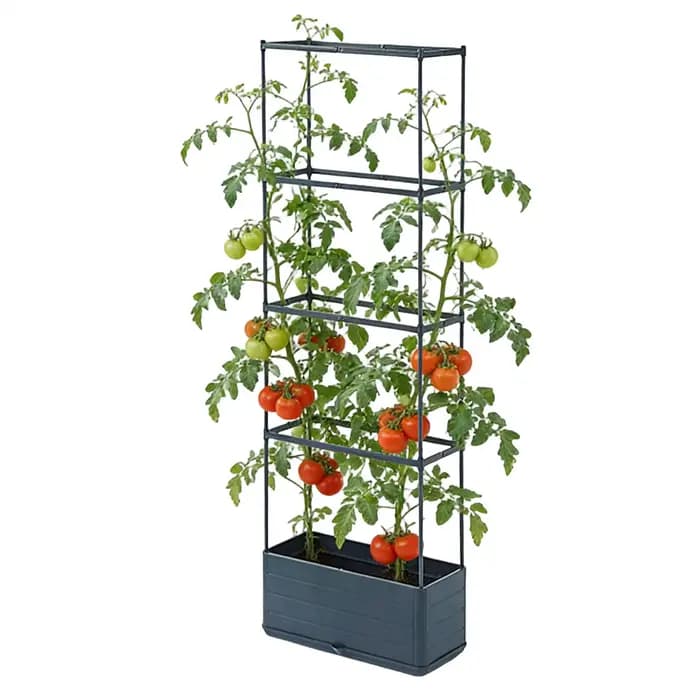 Jardinière verticale pour tomates avec treillis 2-en-1