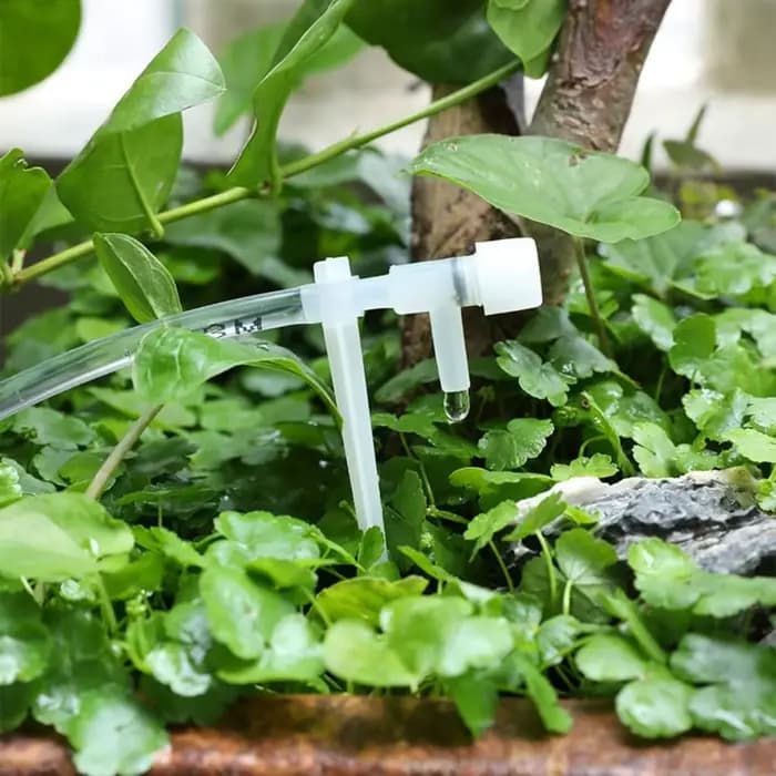 Kit d'irrigation goutte à goutte pour serre et jardin