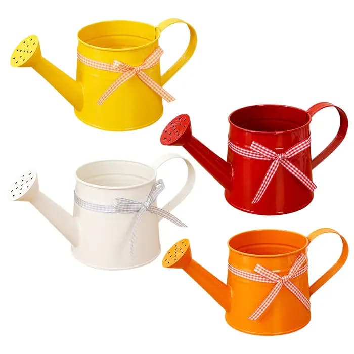 Petite Arrosoir 1L en Métal Antirouille pour Plantes d'Intérieur