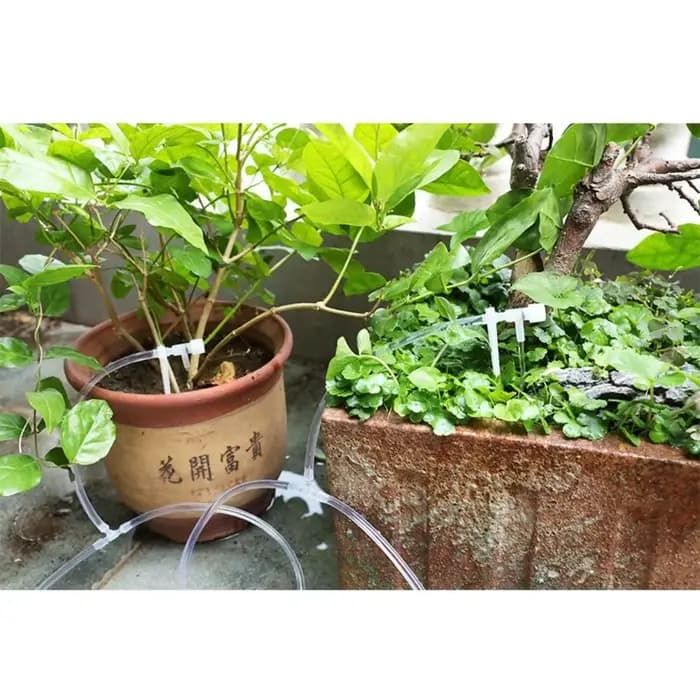 Kit d'irrigation goutte à goutte pour serre et jardin