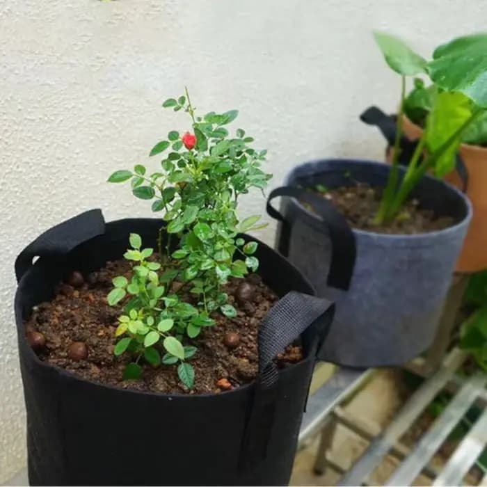 2/3/5/7/10 Gallons plante de jardin cultiver sacs légumes Pot de fleur planteur bricolage pomme de terre Pot