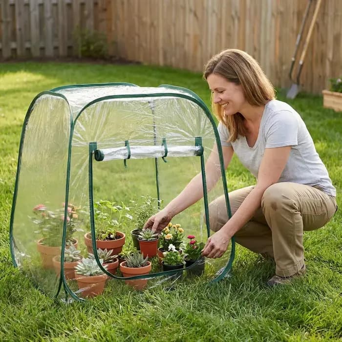 Serre pliable en Pvc, 98x98x98cm