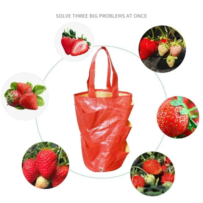 Sacs de culture suspendus pour fraises et tomates