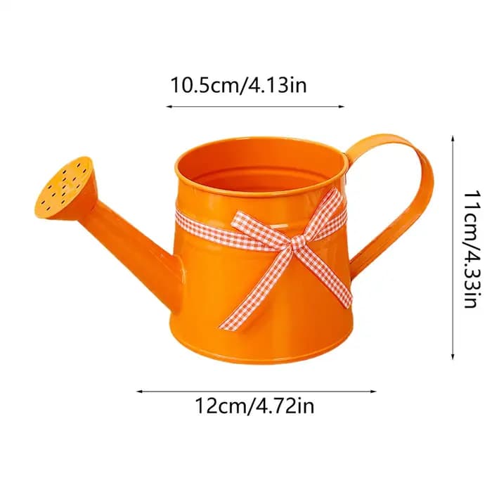 Petite Arrosoir 1L en Métal Antirouille pour Plantes d'Intérieur