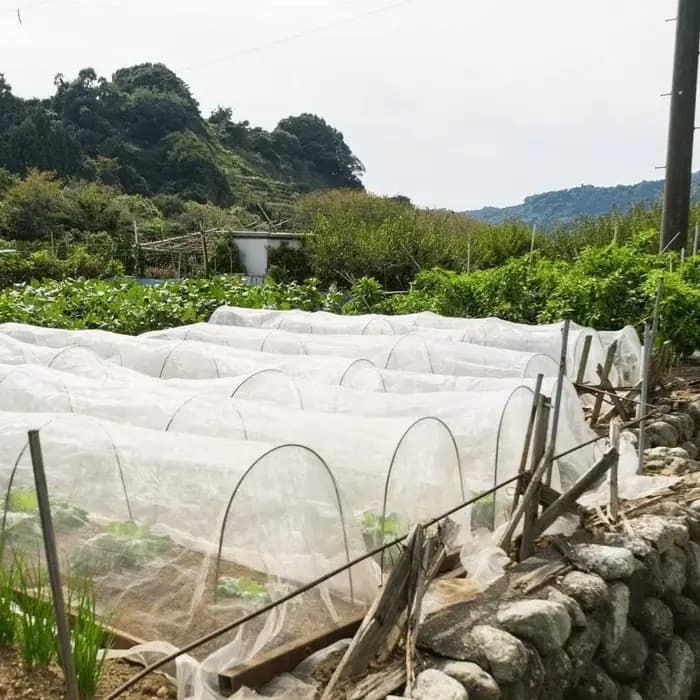 Arceaux de serre adaptés aux tunnels végétaux larges