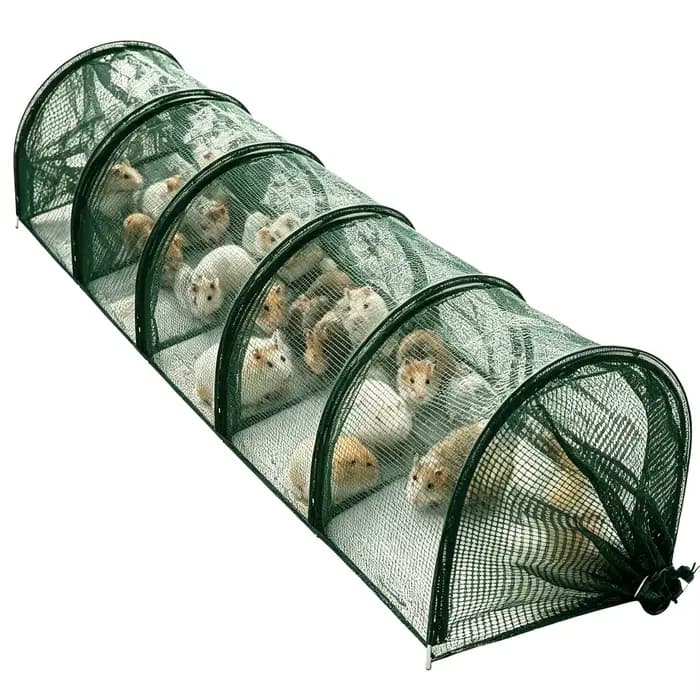Serre tunnel pliable pour jardin