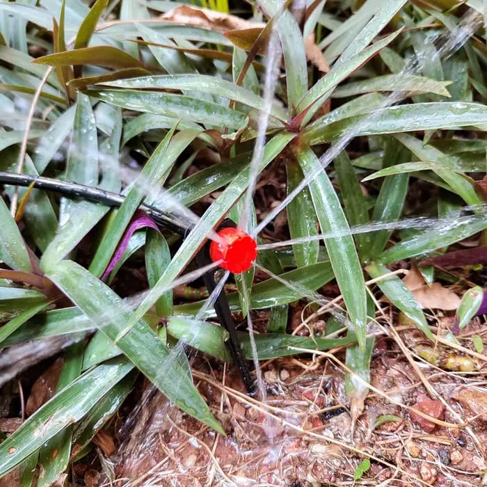 Système d'irrigation goutte-à-goutte pour serre