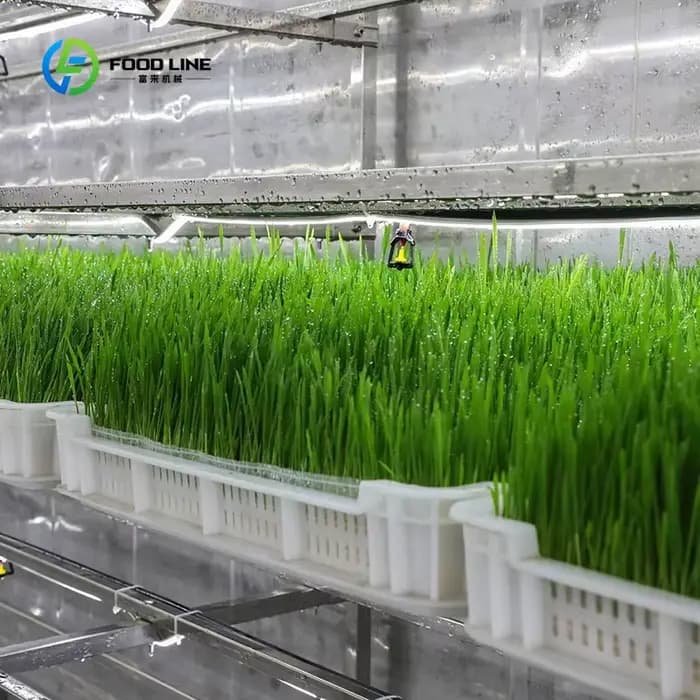 Serre conteneurisée hydroponique 40HQ personnalisée pour l'agriculture verticale et la culture de fourrage