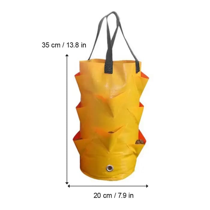 Sacs de culture suspendus pour fraises et tomates