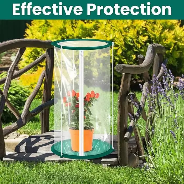 Cage à papillons C, habitat pour insectes