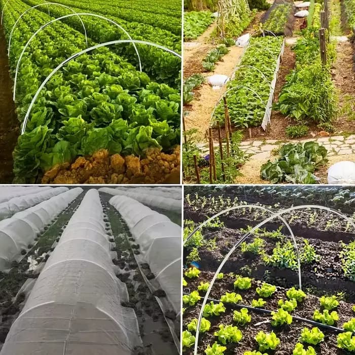 Cerceaux de Jardin pour Serre