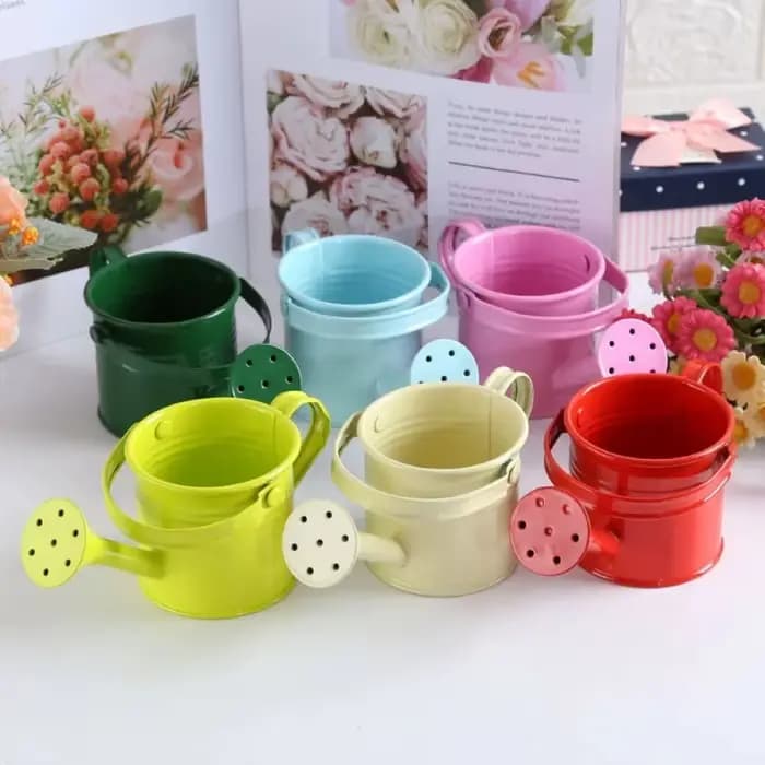 Arrosoir en métal pour jardin-Mini petit pot pulvérisateur