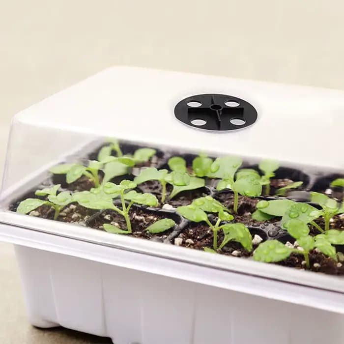 Plateau de semis 6/12 alvéoles avec mini-serre et trous de ventilation