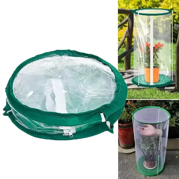 Cage à papillons C, habitat pour insectes