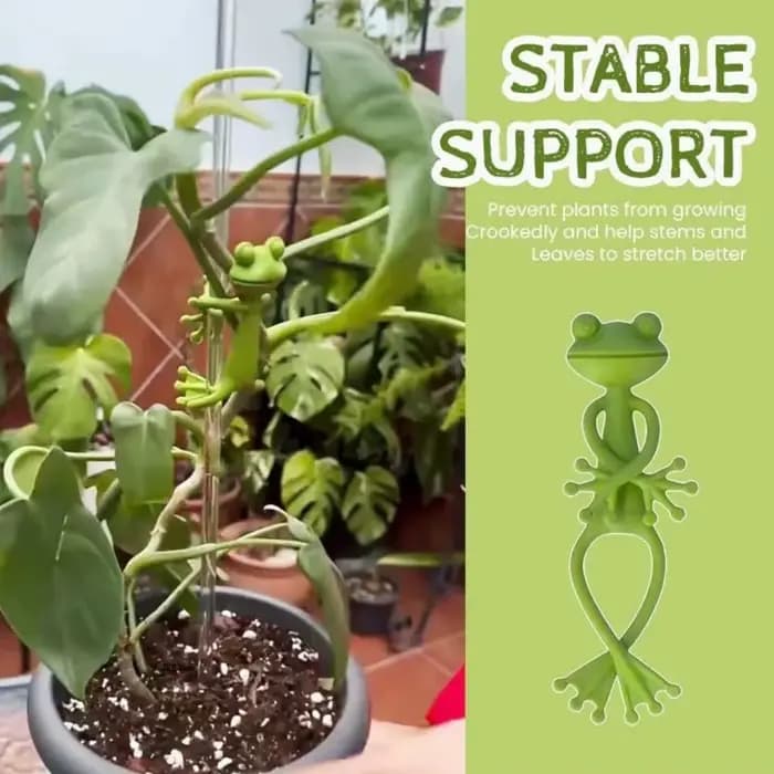 Piquet de Support pour plantes tomates