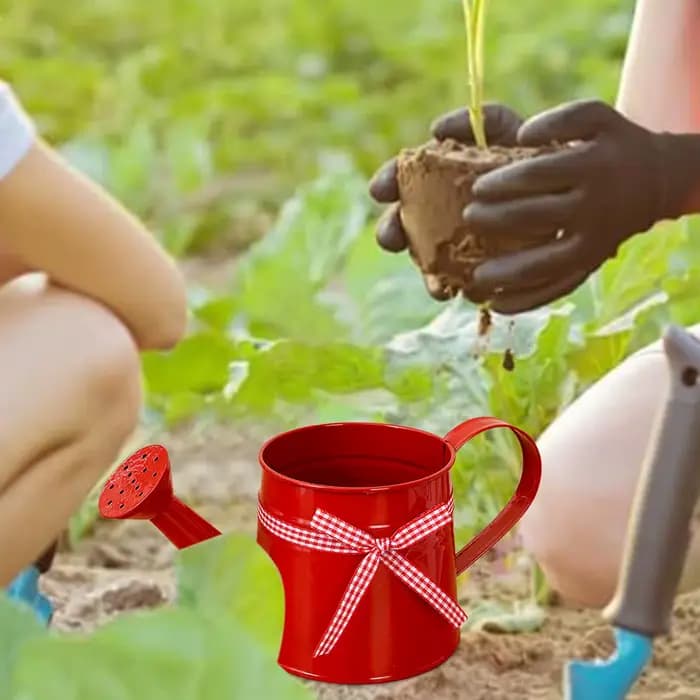 Petite Arrosoir 1L en Métal Antirouille pour Plantes d'Intérieur
