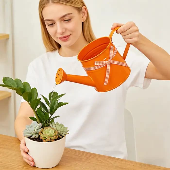 Mini arrosoir 1L en métal avec tête de pulvérisation et ruban à carreaux