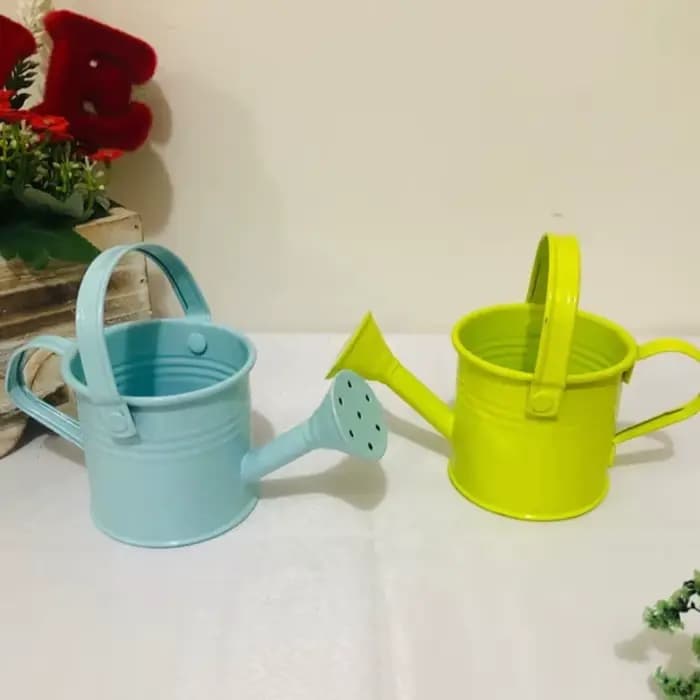 Arrosoir en métal pour jardin-Mini petit pot pulvérisateur