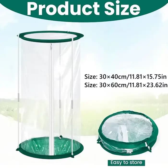 Cage à papillons C, habitat pour insectes