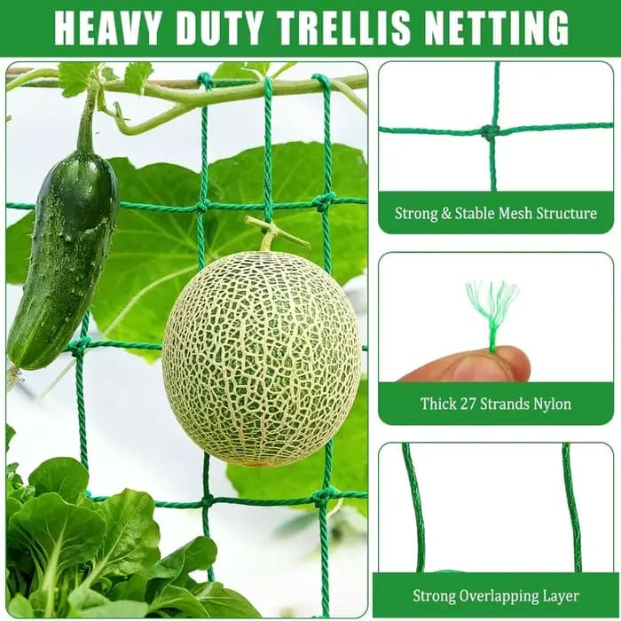 Grillage de treillis robuste pour plantes grimpantes d'extérieur