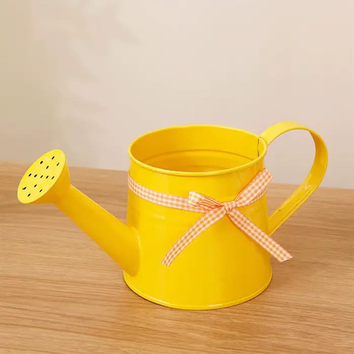 Petite Arrosoir 1L en Métal Antirouille pour Plantes d'Intérieur