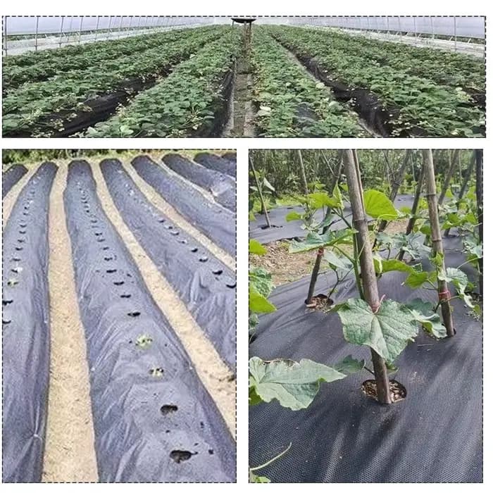 Film de paillis en tissu nickel able pour serre agricole avec trou