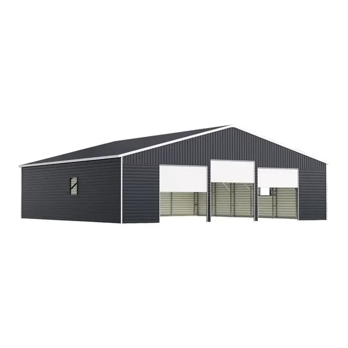 Structure de garage en acier galvanisé de haute qualité