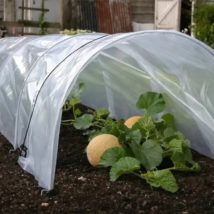 Tunnel de plantation agricole en maille de 3 mètres avec couverture en plastique (support non inclus) – Filet