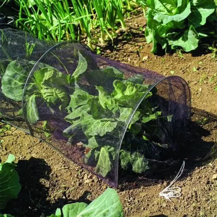 Tunnel de jardin en plastique pour serre agricole