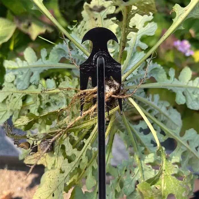 Houe de jardin fournitures agricoles outil de mauvaises herbes outils de jardinage ustensiles main herbicide