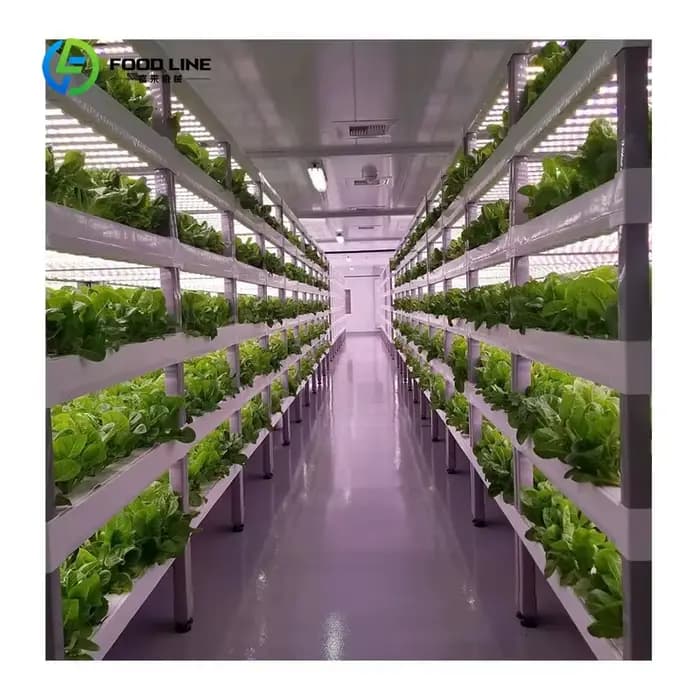 Serre conteneurisée sur mesure 40FT/20FT Superfarm avec système hydroponique NFT pour la culture de légumes-feuilles
