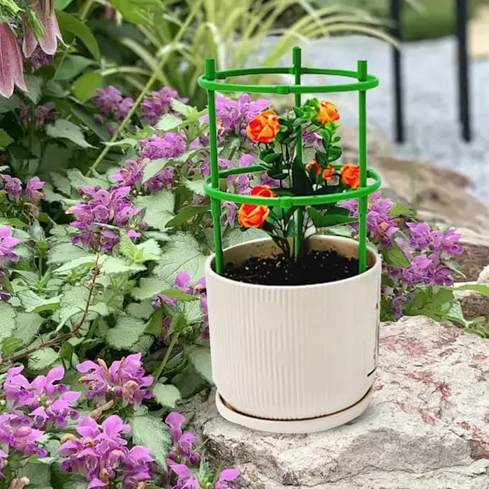 Cages verticales pour tomates