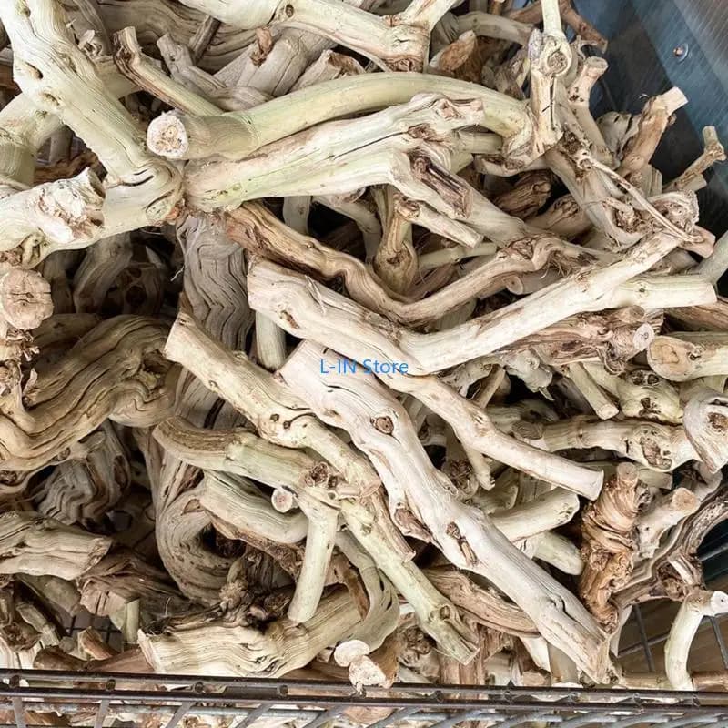 Tronc Bois Flotté pour Lézards Geckos pour Terrariums Reptiles Tronc Paysage