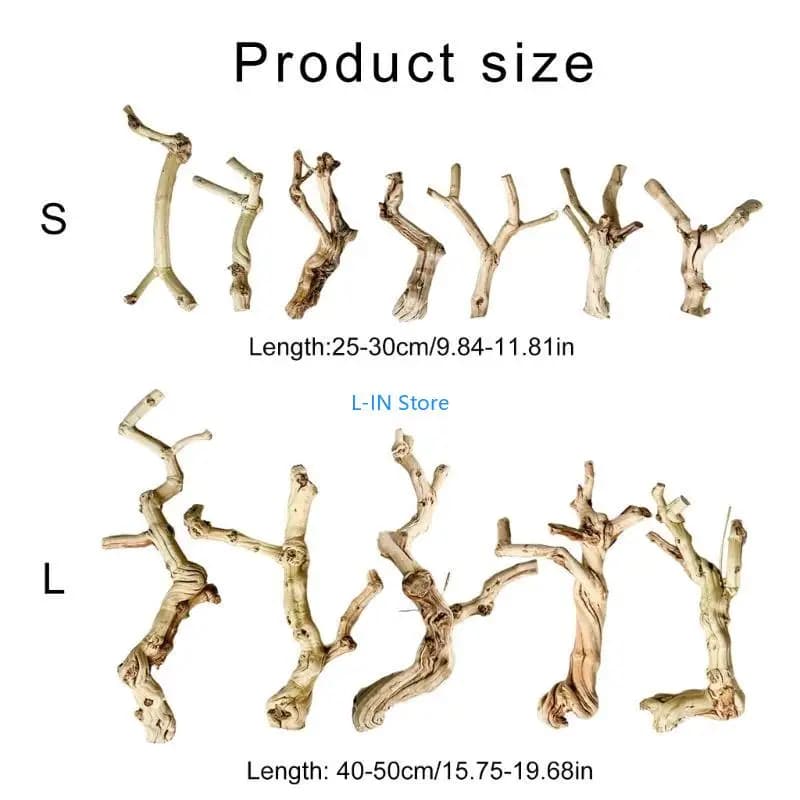 Tronc Bois Flotté pour Lézards Geckos pour Terrariums Reptiles Tronc Paysage