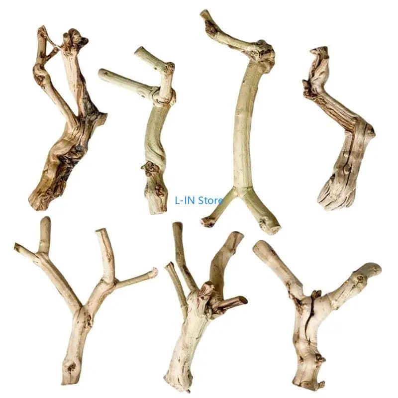 Tronc Bois Flotté pour Lézards Geckos pour Terrariums Reptiles Tronc Paysage